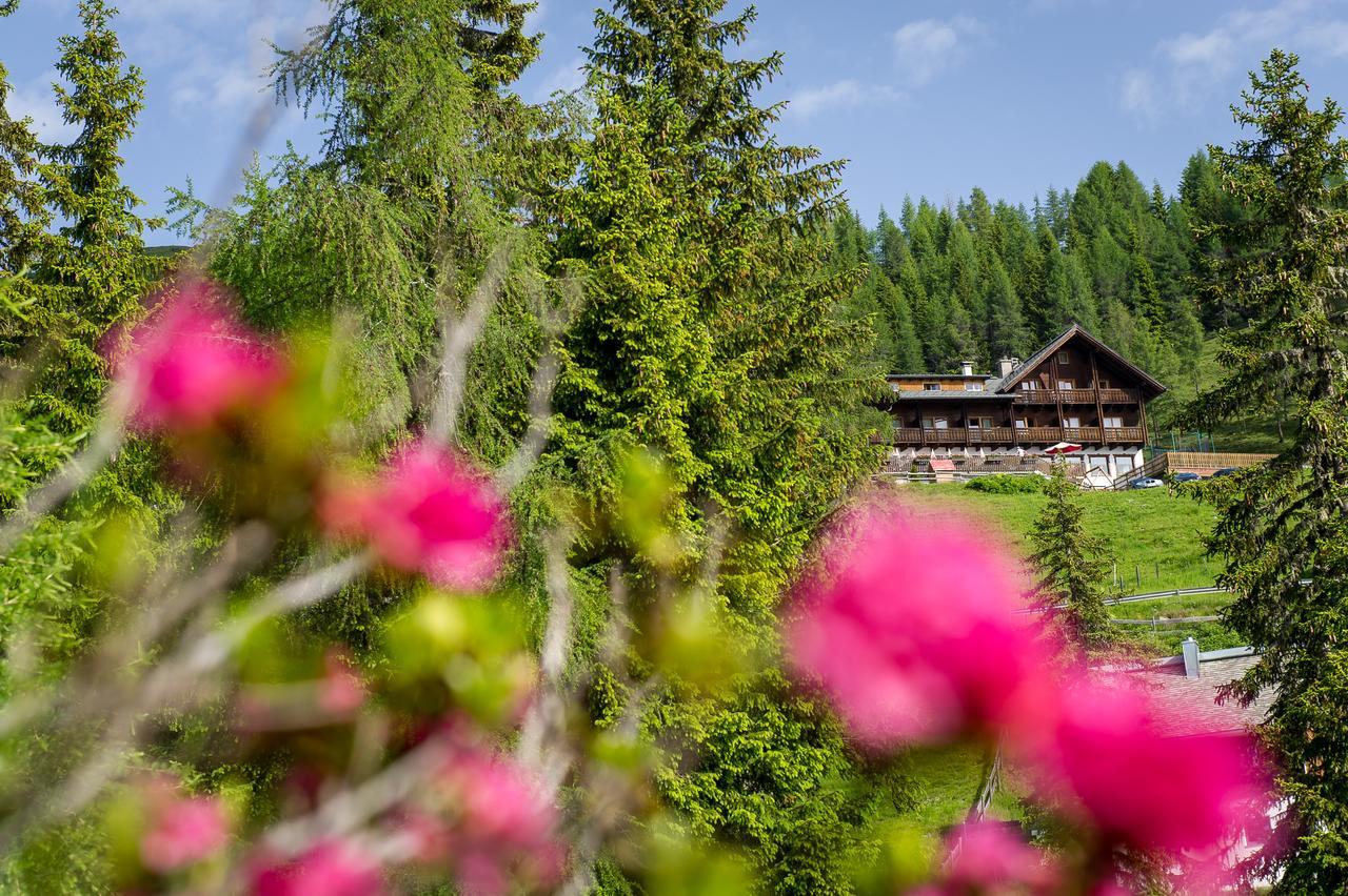Sattleggers Alpenhof & Feriensternwarte Hotel Greifenburg Bagian luar foto