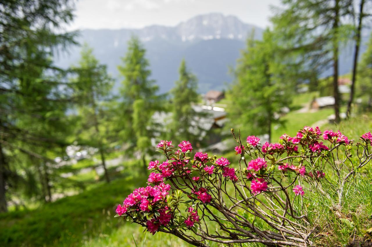 Sattleggers Alpenhof & Feriensternwarte Hotel Greifenburg Bagian luar foto